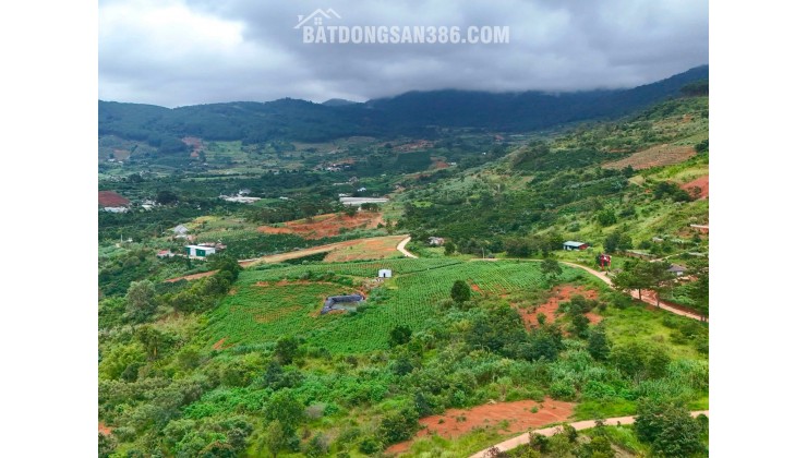 Cần Bán Đất Nam Ban 5.539m², 200m² Thổ Cư, View Toàn Cảnh Từ Trên Cao
